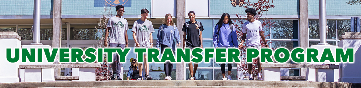 University Transfer